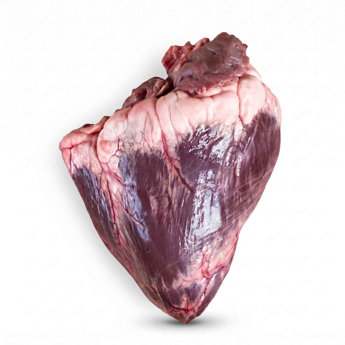 Heart