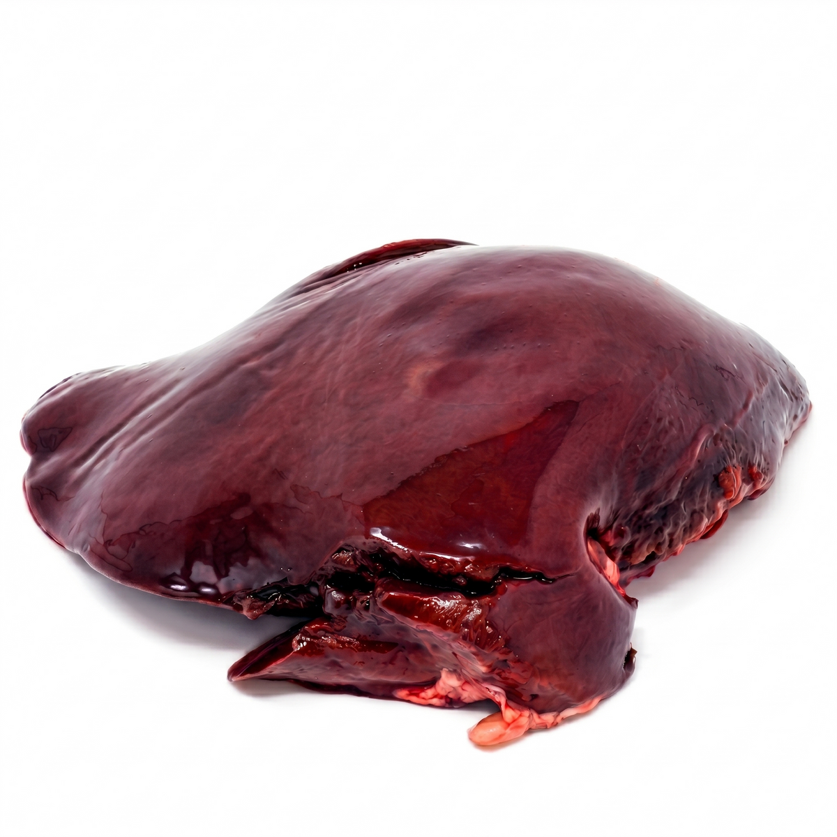 Liver