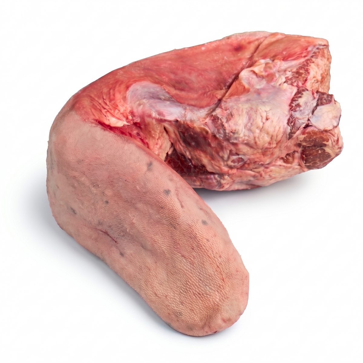 Tongue (Lengua)